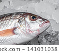 Raw snapper on ice 141031038