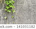 Green leaves hanging down a concrete wall; a botanical frame background. Green leaves hanging down a concrete wall; a botanical frame background. 141031182