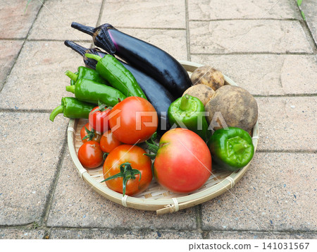 Summer vegetables harvested Summer vegetables harvested 141031567