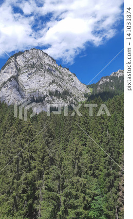 Majestic grey limestone peak above a dense evergreen pine forest Majestic grey limestone peak above a dense evergreen pine forest 141031874