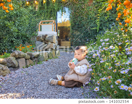 Cute Baby Boy Sitting on Gravel and Drinking Juice in Front of Tangerine Tree Cute Baby Boy Sitting on Gravel and Drinking Juice in Front of Tangerine Tree 141032554