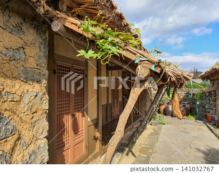 Traditional Korean Thatched House with Loofah Vines Hanging from Eaves Traditional Korean Thatched House with Loofah Vines Hanging from Eaves 141032767