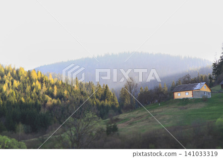 Peaceful mountain village with traditional houses on a green slope in the Ukrainian Carpathians 141033319
