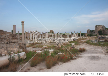 Archaeological site with marble columns and ruins in Side, Turkey Archaeological site with marble columns and ruins in Side, Turkey 141033509
