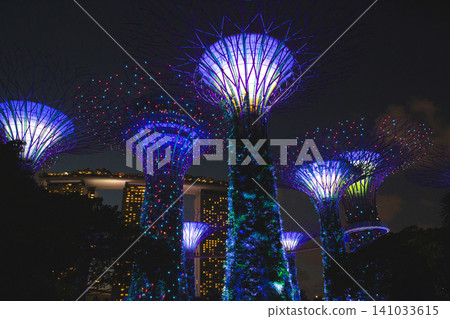 Illuminated Supertrees and Marina Bay Sands at night in Singapore Illuminated Supertrees and Marina Bay Sands at night in Singapore 141033615