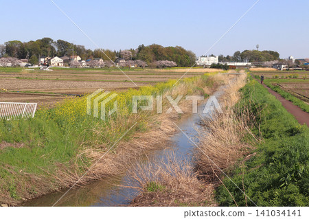 伊那町的春季慢跑道(埼玉縣北足立郡伊那町) 伊那町的春季慢跑道(埼玉縣北足立郡伊那町) 141034141
