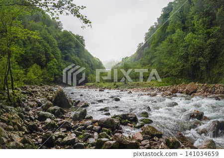 Fast mountain river flowing through a lush green canyon in misty weather. Georgia. 141034659