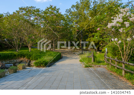 夏日陽光斑駁地灑在公園步道上。 夏日陽光斑駁地灑在公園步道上。 141034745