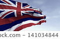Close up of Hawaii state flag waving on a clear day 141034844