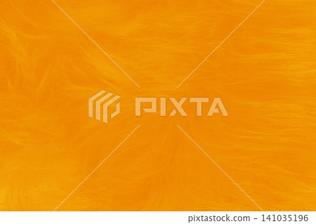 Orange soft wool pattern texture abstract bright fluffy fur background structure backdrop vibrant Orange soft wool pattern texture abstract bright fluffy fur background structure backdrop vibrant 141035196