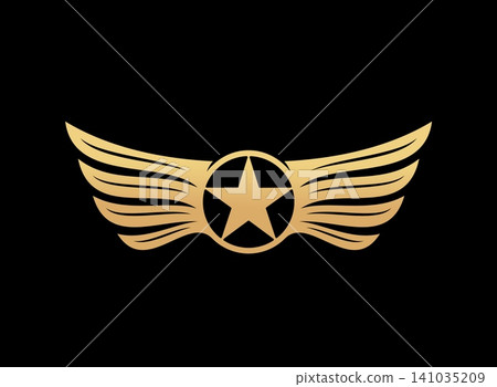 Golden wings aviation award shield or pilot rank symbol. Military elite force award vector icon, army airforce emblem. Aviation golden symbol with wings wavy feathers and gold five-point star 141035209