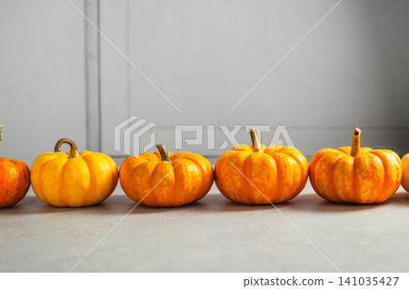 Row of ornamental pumpkins on gray background with copy space Row of ornamental pumpkins on gray background with copy space 141035427