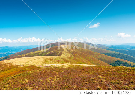 carpathian mountain landscape in late summer. scenic alps of ukraine in the afternoon. background image for hiking through borzhava ridge carpathian mountain landscape in late summer. scenic alps of ukraine in the afternoon. background image for hiking through borzhava ridge 141035783