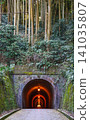 Meiji Tunnel on the Old Tokaido Road in Utsunoya, Shizuoka, Japan 141035807