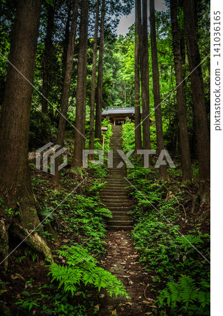 The path and stone steps leading into the depths of the cedar grove give Hakusan Shrine a mystical feel. The path and stone steps leading into the depths of the cedar grove give Hakusan Shrine a mystical feel. 141036165