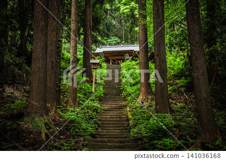 通往雪松林深處的道路和石階,賦予了白山神社一種神秘的氣息。 通往雪松林深處的道路和石階,賦予了白山神社一種神秘的氣息。 141036168