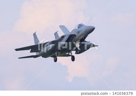 第303中隊的F-15J戰鬥機準備著陸 141036379