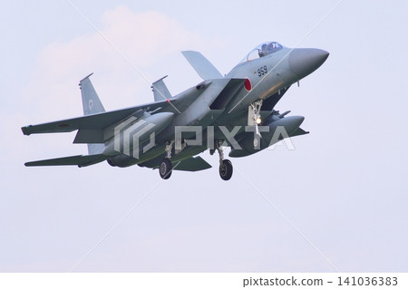 第303中隊的F-15J戰鬥機準備著陸 第303中隊的F-15J戰鬥機準備著陸 141036383