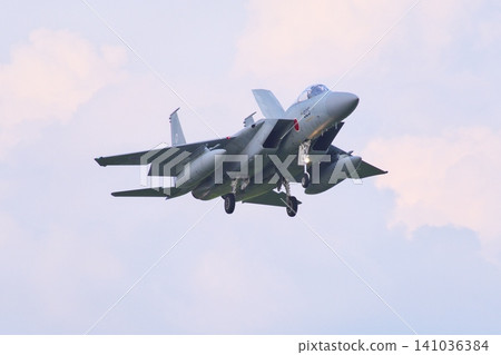 第303中隊的F-15J戰鬥機準備著陸 第303中隊的F-15J戰鬥機準備著陸 141036384