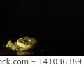 Ring biscuit with crumbs on dark table 141036389