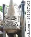 A white rhinoceros came right in front of me 141037102