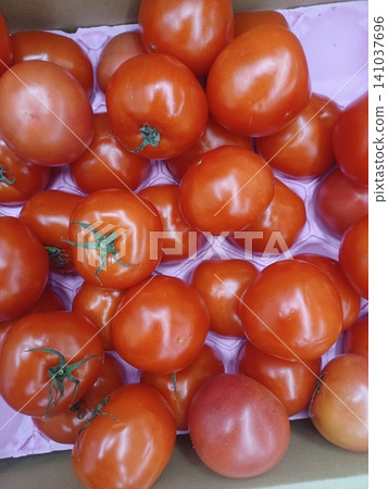 Bright tomato Bright tomato 141037696