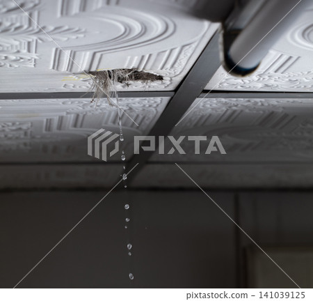 Dangerous ceiling water leak near fluorescent light inside house. Water leaking from damaged ceiling with electrical hazard indoors Dangerous ceiling water leak near fluorescent light inside house. Water leaking from damaged ceiling with electrical hazard indoors 141039125