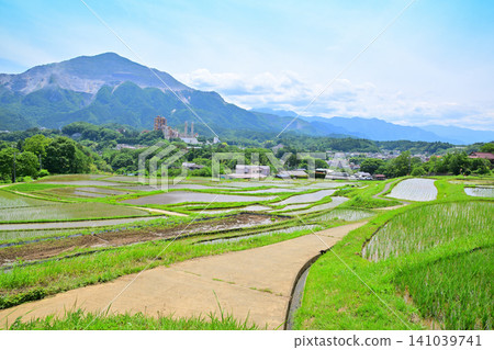 武高山和寺坂梯田:水稻種植季節的鬱鬱蔥蔥綠色景觀。 武高山和寺坂梯田:水稻種植季節的鬱鬱蔥蔥綠色景觀。 141039741