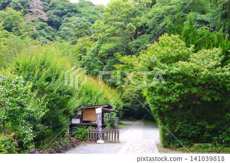 The entrance to Zuizenji Temple, surrounded by greenery. The entrance to Zuizenji Temple, surrounded by greenery. 141039818