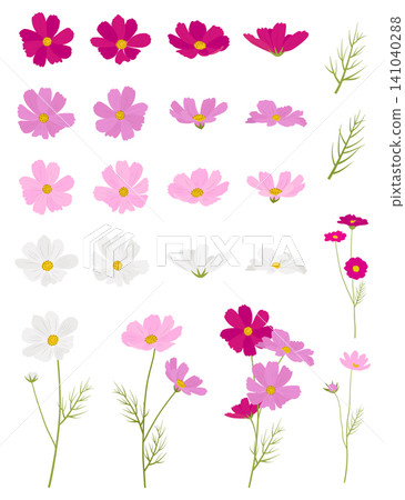 Cosmos illustration material set Cosmos illustration material set 141040288
