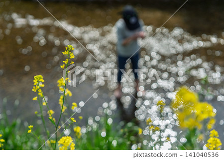 A boy playing in the river, basking in the pleasant spring sunshine. A boy playing in the river, basking in the pleasant spring sunshine. 141040536