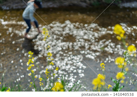 A boy playing in the river, basking in the pleasant spring sunshine. A boy playing in the river, basking in the pleasant spring sunshine. 141040538
