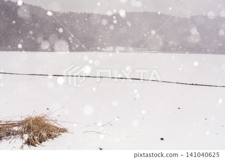This photo was taken at Hirosawa Pond in Ukyo Ward, Kyoto City, during a heavy snowfall. This photo was taken at Hirosawa Pond in Ukyo Ward, Kyoto City, during a heavy snowfall. 141040625