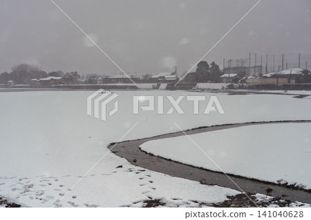 這張照片是在京都市右京區的廣澤池拍攝的，當時正值大雪紛飛。 141040628