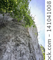 Tenchuseki (Gokayama, Nanto City, Toyama Prefecture; photographed in June) 141041008