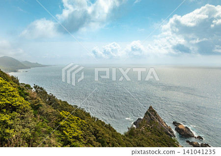 Springtime in Yakushima, a World Natural Heritage Site: Western Forest Road Area 141041235