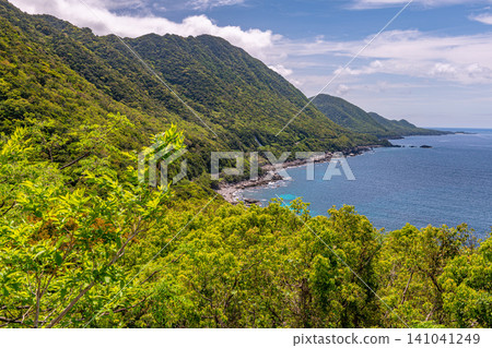 世界自然遺產屋久島的春天：西部森林道路地區 141041249