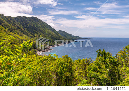 Springtime in Yakushima, a World Natural Heritage Site: Western Forest Road Area Springtime in Yakushima, a World Natural Heritage Site: Western Forest Road Area 141041251