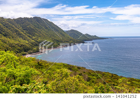 Springtime in Yakushima, a World Natural Heritage Site: Western Forest Road Area 141041252
