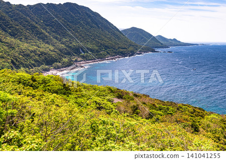 Springtime in Yakushima, a World Natural Heritage Site: Western Forest Road Area Springtime in Yakushima, a World Natural Heritage Site: Western Forest Road Area 141041255