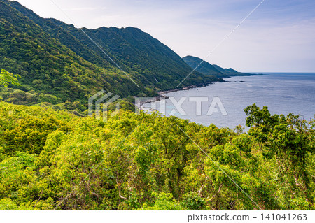 Springtime in Yakushima, a World Natural Heritage Site: Western Forest Road Area Springtime in Yakushima, a World Natural Heritage Site: Western Forest Road Area 141041263