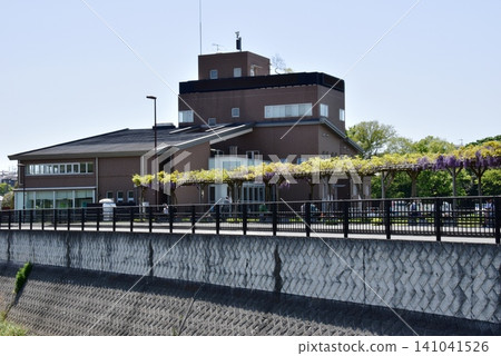 神奈川縣橫濱市:神奈川縣立堺川氾濫平原公園(又野氾濫平原)堺川氾濫平原資訊中心及紫藤架 神奈川縣橫濱市:神奈川縣立堺川氾濫平原公園(又野氾濫平原)堺川氾濫平原資訊中心及紫藤架 141041526