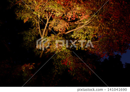 The autumn scenery of Katsuoji Temple in Osaka, with its clear autumn sky in the evening and beautiful autumn leaves. The autumn scenery of Katsuoji Temple in Osaka, with its clear autumn sky in the evening and beautiful autumn leaves. 141041690