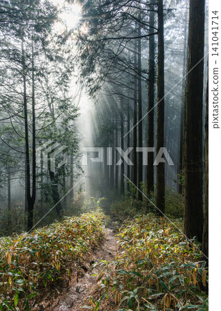 晨霧籠罩山間小徑,陽光透過山間光束灑下,構成神秘的景象。 晨霧籠罩山間小徑,陽光透過山間光束灑下,構成神秘的景象。 141041714