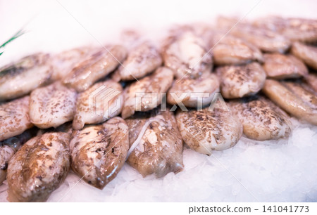 Raw cuttlefish - fish, freshly caught from the sea, lies on ice on counter at fish market 141041773