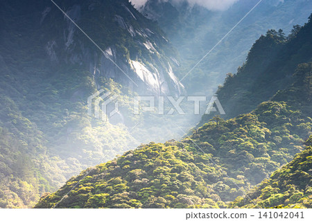 世界自然遺產屋久島春季的花崗岩山坡。 世界自然遺產屋久島春季的花崗岩山坡。 141042041