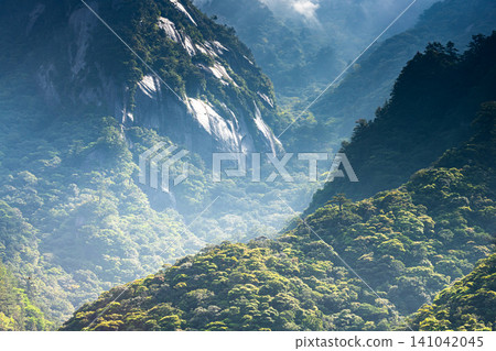 Granite mountain slopes in spring on Yakushima, a World Natural Heritage site. Granite mountain slopes in spring on Yakushima, a World Natural Heritage site. 141042045