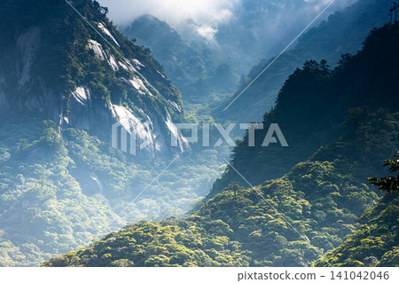 世界自然遺產屋久島春季的花崗岩山坡。 世界自然遺產屋久島春季的花崗岩山坡。 141042046