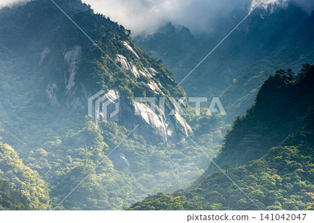 世界自然遺產屋久島春季的花崗岩山坡。 世界自然遺產屋久島春季的花崗岩山坡。 141042047