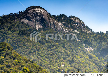 Granite mountain slopes in spring on Yakushima, a World Natural Heritage site. Granite mountain slopes in spring on Yakushima, a World Natural Heritage site. 141042048